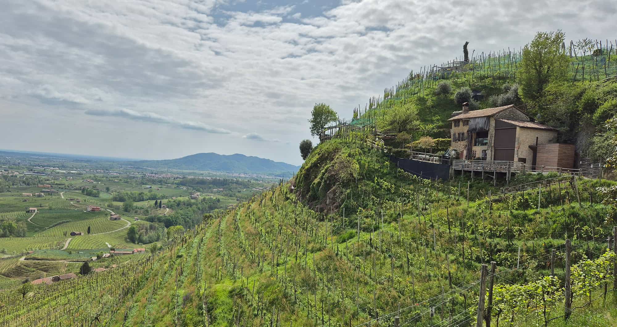 Prosecco Hills, Italy, ZARA NOVE 3