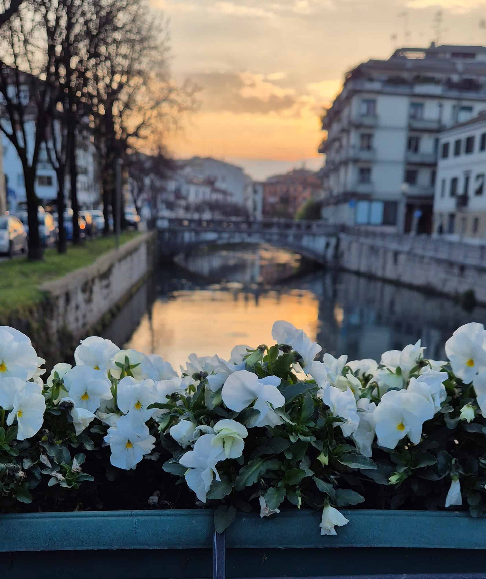 Treviso, Italy, ZARA NOVE 4
