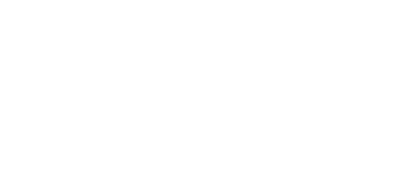 ZARA NOVE logo on a white background, stylish and modern branding.